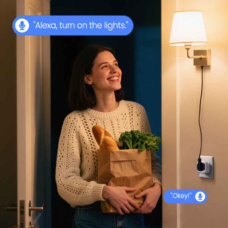 ปลั๊กอัจฉริยะ Tuya สำหรับแอฟริ - Smart Plug Zigbee 16A บทวิจารณ์และราคา